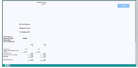 screen shot of ixbrl viewer